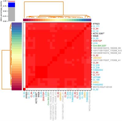 Comparative Genomics Provides Insights Into Genetic Diversity of Clostridium tyrobutyricum and Potential Implications for Late Blowing Defects in Cheese